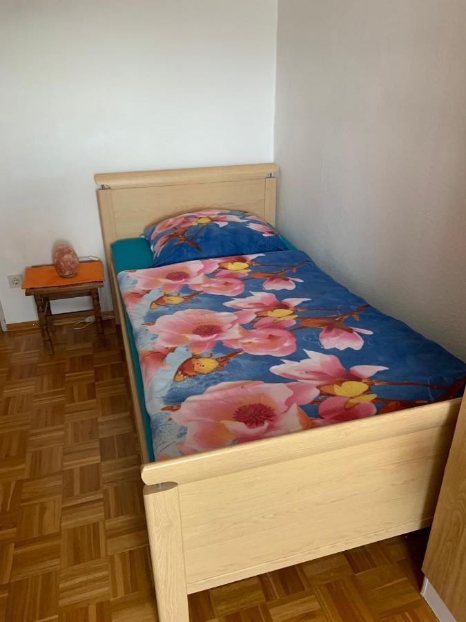 Reichenbach Apartment バートライヘンハル エクステリア 写真