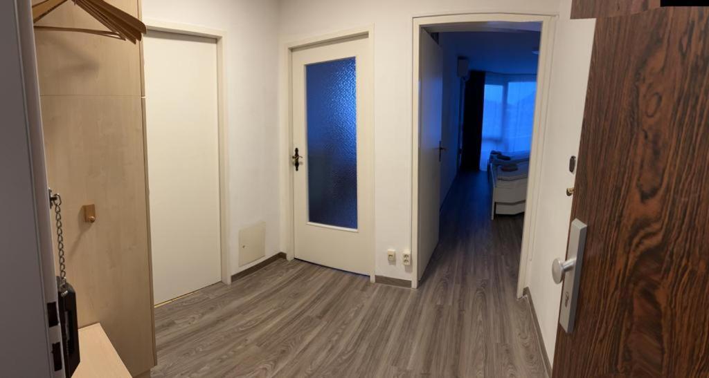 Reichenbach Apartment バートライヘンハル エクステリア 写真